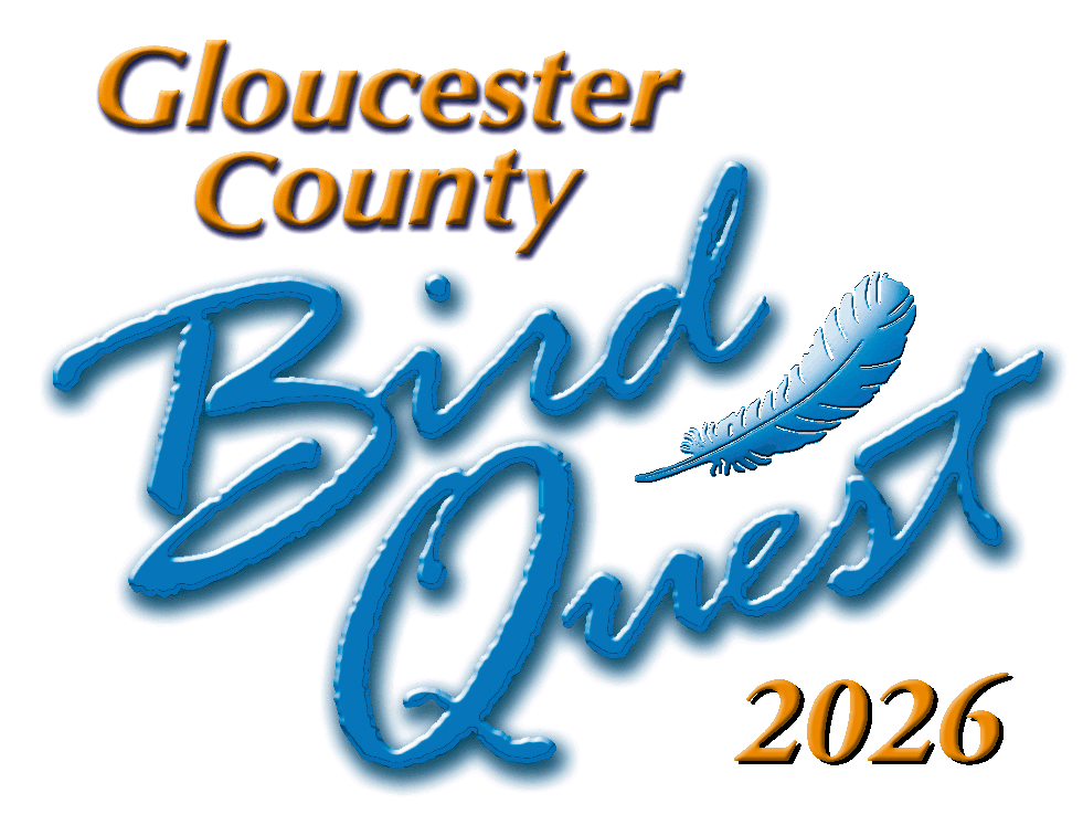 Bird Quest logo