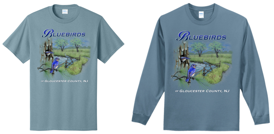 Front of Bird Quest 2025 T-shirt